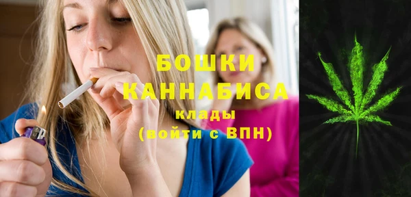 стаф Алексеевка
