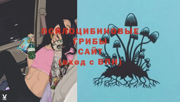 стаф Алексеевка