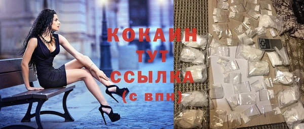 2c-b Новозыбков