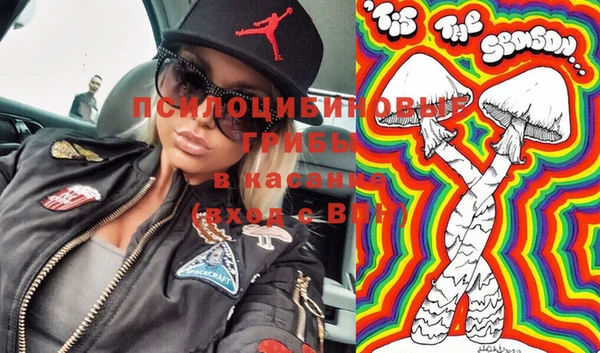 дурь Алзамай
