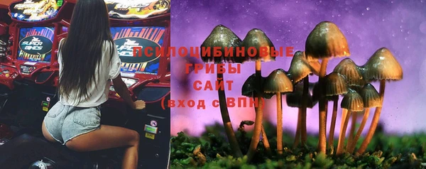 не бодяженный Алексин