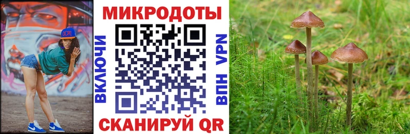 Псилоцибиновые грибы Cubensis  Спасск 